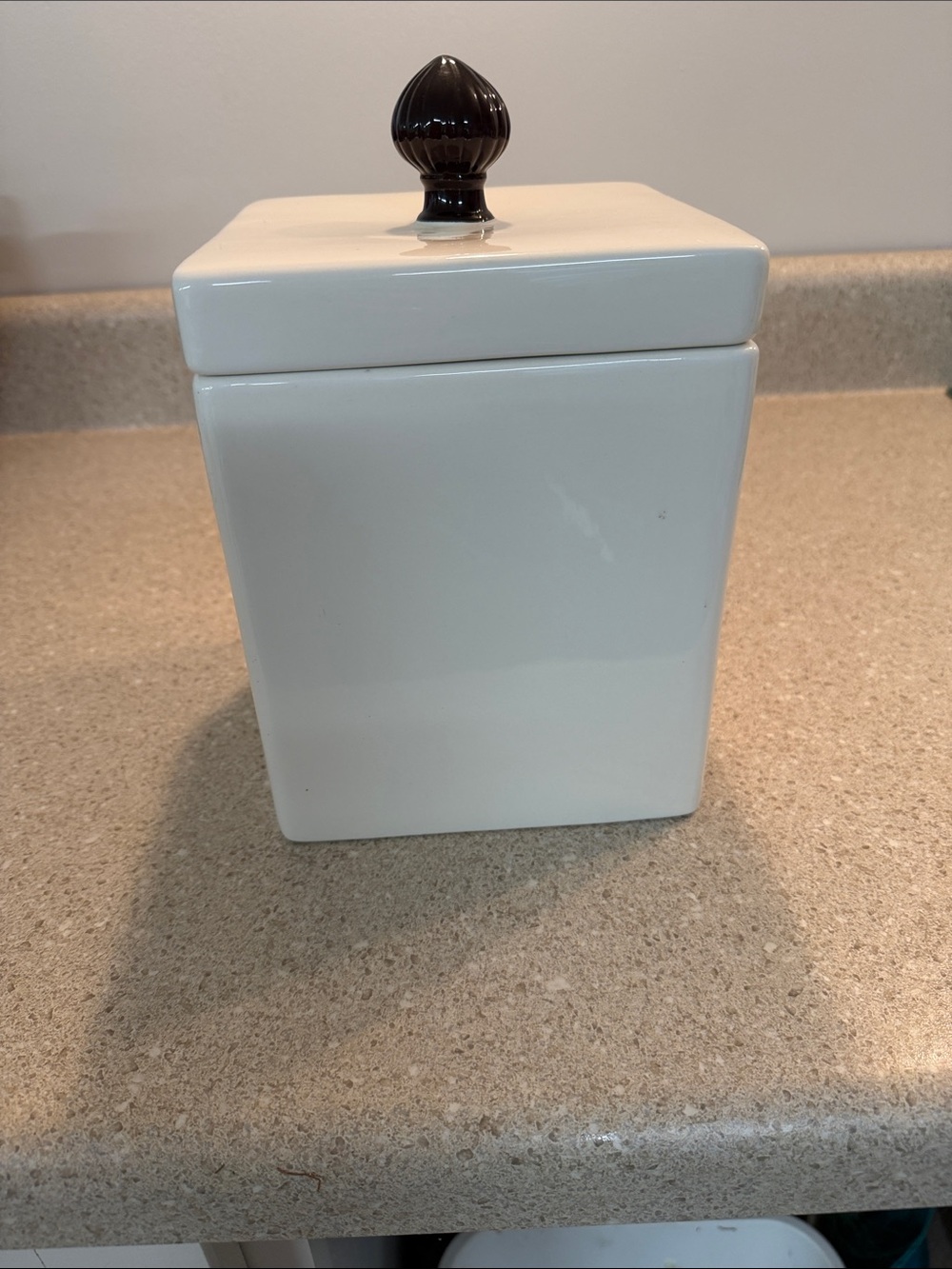 Home Essentials White Ceramic Bathroom Canister with Dark Brown Knob